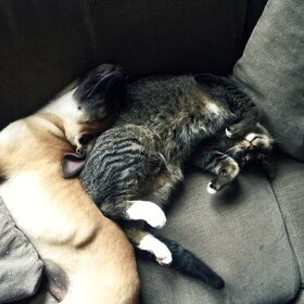 Juneau & Bowie