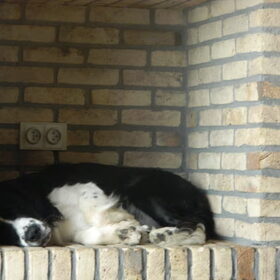 in de schouw