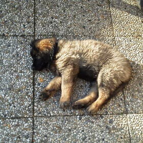 slapen in de tuin hahaha
