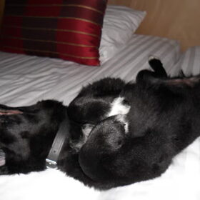 Heerlijk zo'n hotel bed :)