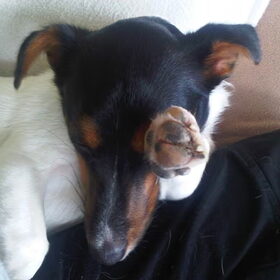 Laat me met rust!
