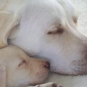samen....
