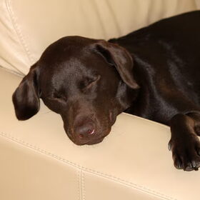 Wat heb ik het hier goed!! Sleep well.