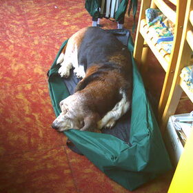 Sleeping Lady