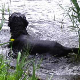 Water is alles voor 'm!