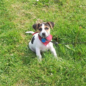 deejay was lekker aan het wandelen