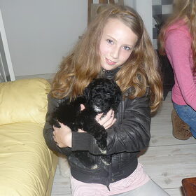 love buddy
