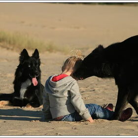 Lisanne, Blue en Rani