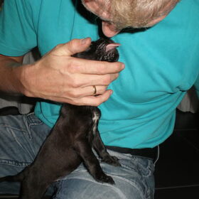 Ik vindt je zooooo lief!!!!!