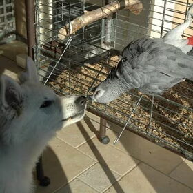 Liefde is even samen knuffelen