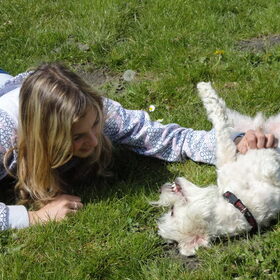 Lieve hondje Dusty