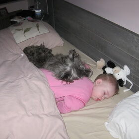 Samen slapen