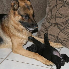 Vader en zoon