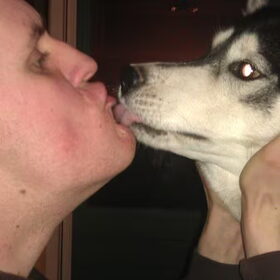 Kusje van Misty!