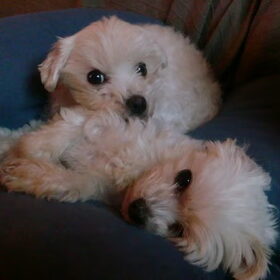 Liefde is samen rusten