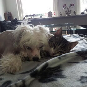 Pippin & Logan