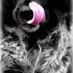 Fenna..