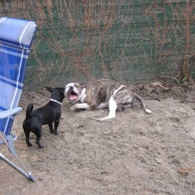 spike en lisa