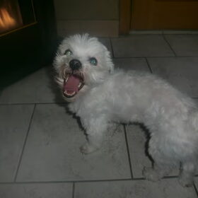 warm !!