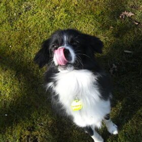 Geen titel