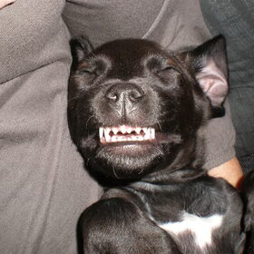 SMILE!!!!!!!