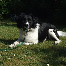 Op Texel