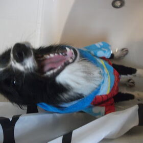 aaaaaaaaaaaaaaaaaaaah
