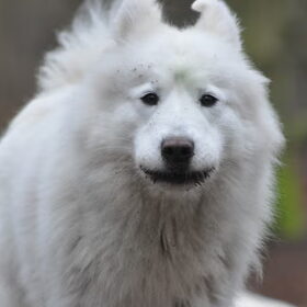 smile
