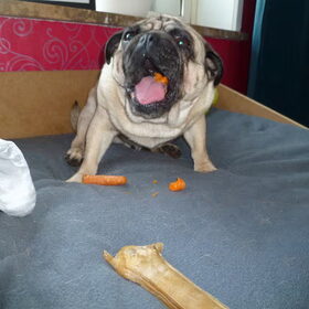 Yummie, Worteltjes!!