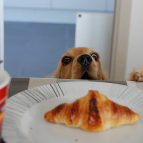 croissant
