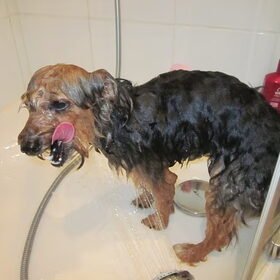 In de douche...