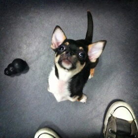Psycho look!