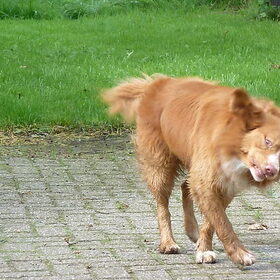 Geen titel