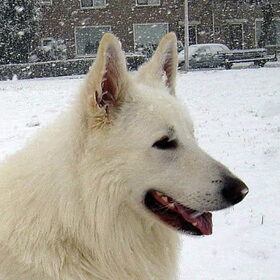 mexx sneeuw