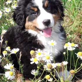 Flower power time ...