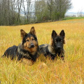 Haakon & Varghoss