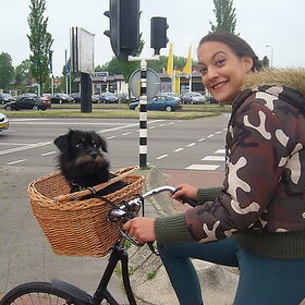 Chicky en nynke