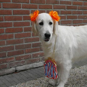 Femke is er klaar voor
