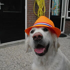 waar is dat feestje?