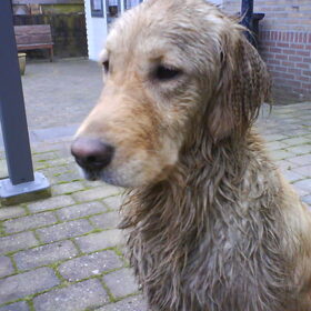 Weer Sira