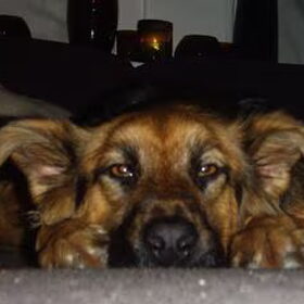 Lola, voorheen Palma