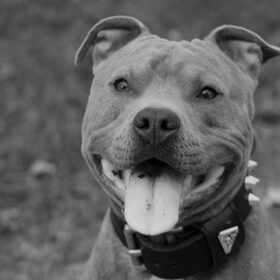 smile :D