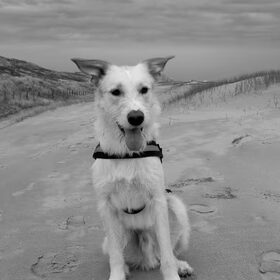 op het strand