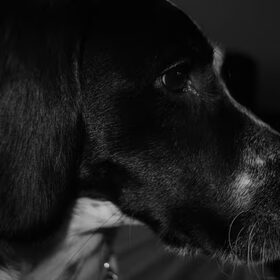 Billy