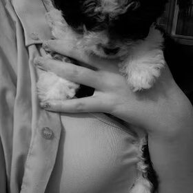 m'n waakhond pip.