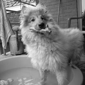 Lieve Cooper!