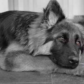 beauty ♥