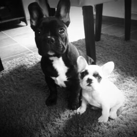 butch&bella