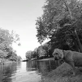 Lotje, hoofdrolspeler in videoclip van dierweg.nl