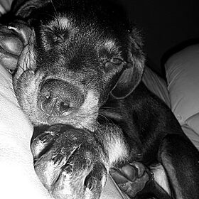 Sleeepy